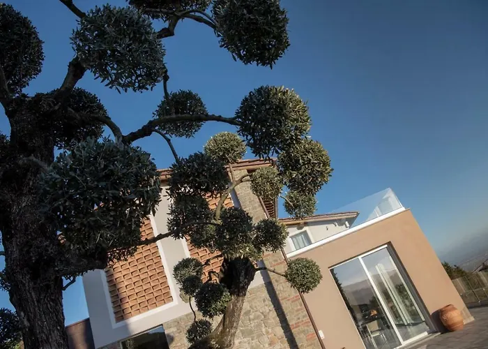 L'uliveta Lejlighed *