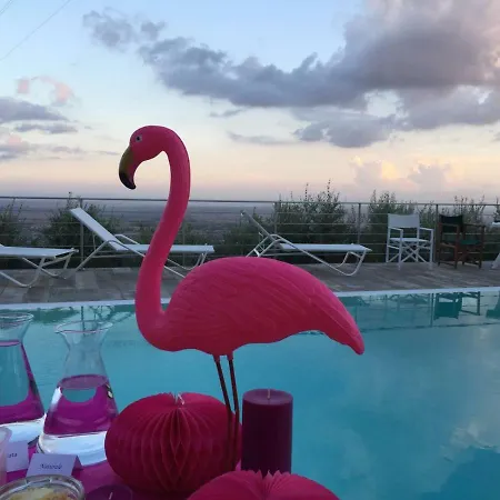 L'uliveta 公寓 蒙特卡蒂尼泰尔梅