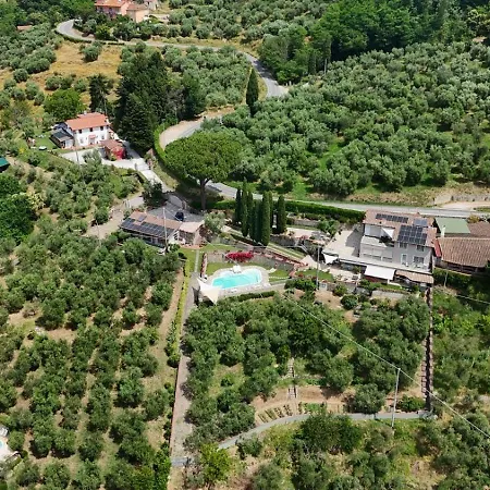 Διαμέρισμα L'uliveta *